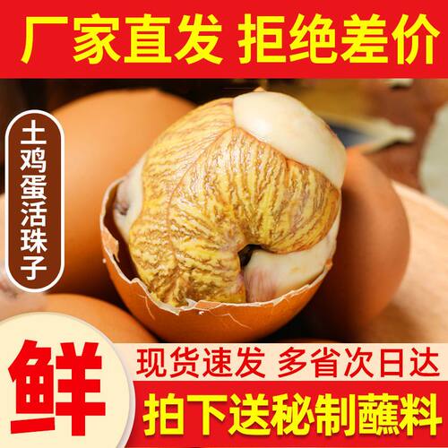原味活珠子40枚钢化蛋13天鸡胚蛋