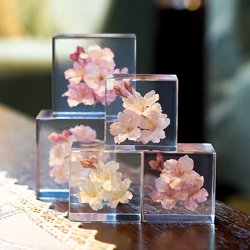 日本樱花标本植物手工高端ins风小众桌面摆件高级感装饰生日礼物