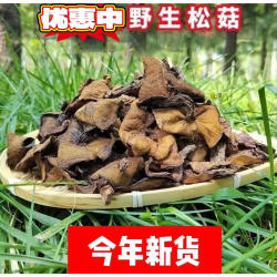 松菇野生松蘑菇山蛾子沂蒙山食用菌粘团子山货干货炖鸡料山东特产
