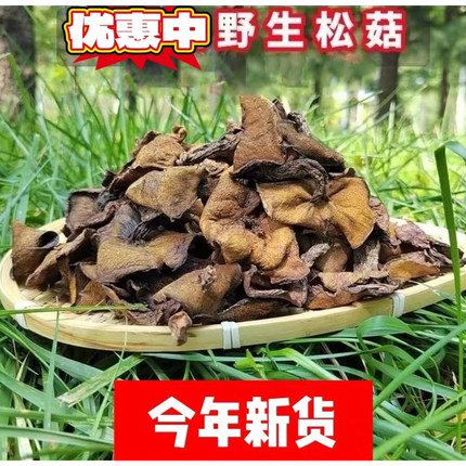 松菇野生松蘑菇山蛾子沂蒙山食用菌粘团子山货干货炖鸡料山东特产
