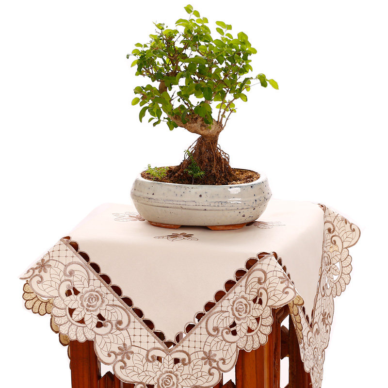 花架盖布垫多用巾盖布小桌布防尘巾蕾丝桌布床头柜罩盖巾万能盖巾,居家布艺,万能盖巾,淘宝优惠券,粉丝福利购,淘宝优惠卷