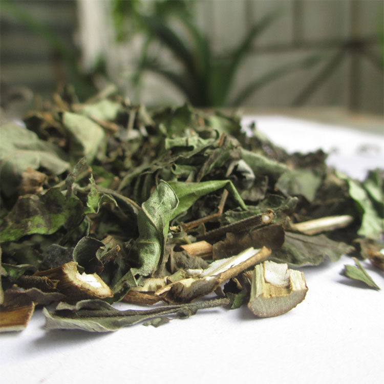 野生布惊茶中药材500g五指风布惊树黄荆子苗布惊灰原材料包邮