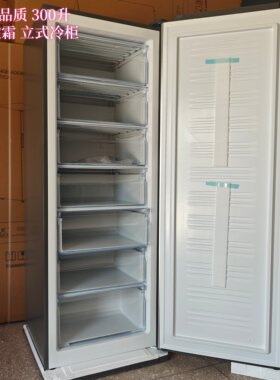300升变频大容量立式冷柜