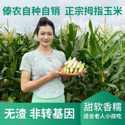 云南西双版纳拇指玉米新鲜香白糯手指小玉米儿童婴儿宝宝吃的玉米