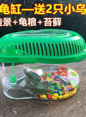 乌龟缸 送2只小乌龟巴西龟乌龟缸带晒台多规格龟盆宠物盒儿童礼物