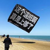 潍坊3d立体风筝大人专用专业级高档特大号巨型软体这个逼班上够了