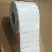 铜版 ZD888T标签纸热销 T4502E 不干胶80x20打印贴纸TSCTE244 344