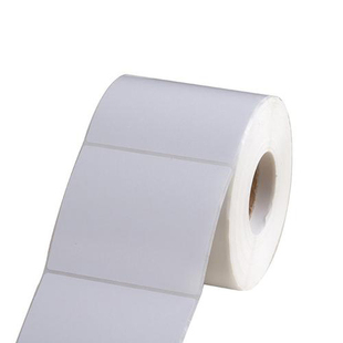 L210标签纸热卖 加粘铜版 T4502E 纸TSC244 不干胶纸100X100条码