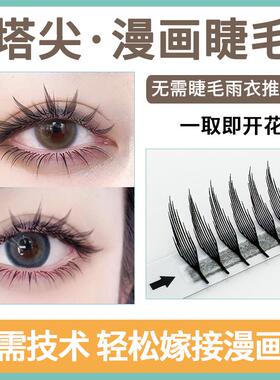 漫画款塔尖睫毛美睫店专用