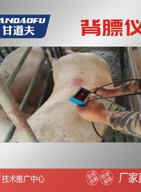 背膘厚度眼肌面积测定仪活体黄牛