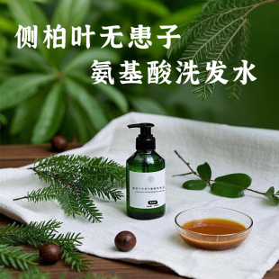 腺苷+侧柏叶无患子氨基酸无硅油洗发水 中草药熬制控油蓬松去屑
