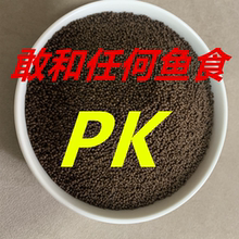 兰寿泰狮专用饲料不浑水鱼食小型观赏鱼46高蛋白颗粒料漂浮下沉型