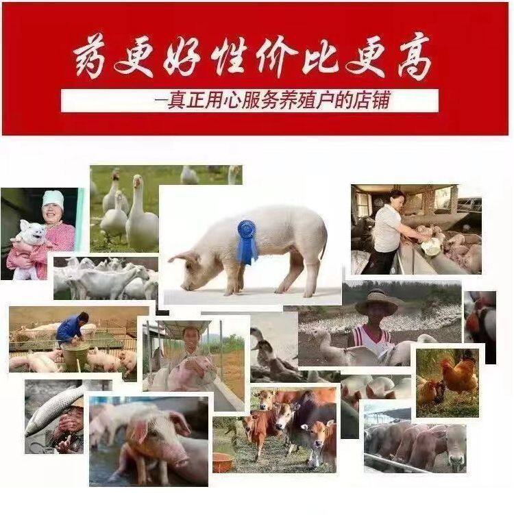 兽用饲料添加剂猪牛羊