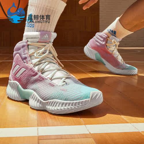 Adidas/阿迪达斯正品PRO BOUNCE 2018男女运动篮球鞋IG4496