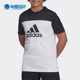 阿迪达斯正品 新款 男大童运动短袖 Adidas T恤DV2917 DV2920