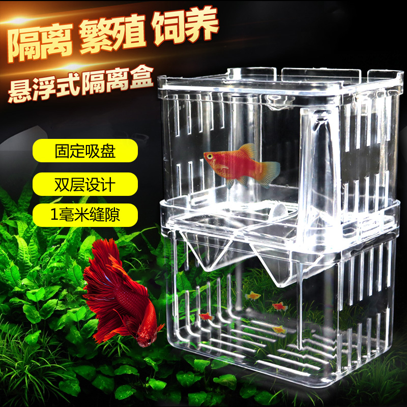 孔雀鱼斗鱼繁殖隔离盒