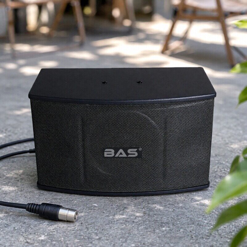BAS 10寸会议音箱 家用KTV音响套装 卡包喇叭 卡拉OK系统 23k