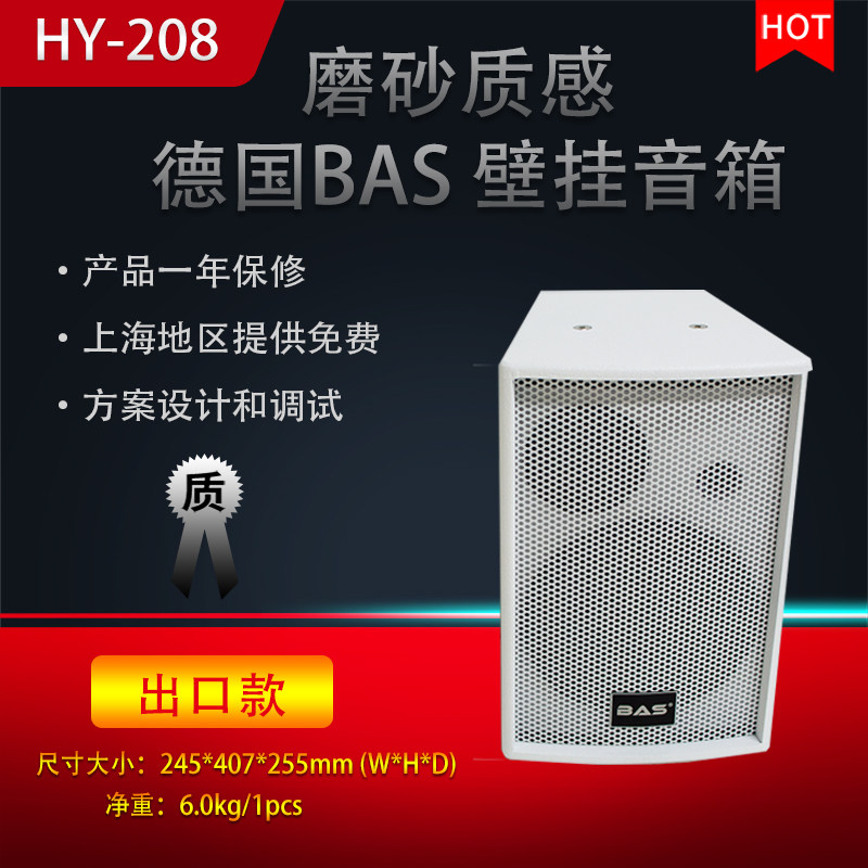 德国BAS 家用音响 会议喇叭 KTV音箱套餐 健身房音箱 餐厅 HY-208