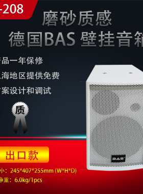 德国BAS 家用音响 会议喇叭 KTV音箱套餐 健身房音箱 餐厅 HY-208