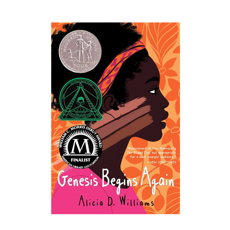 英文原版 Genesis Begins Again 纽伯瑞银奖 吉妮西丝的清单 儿童文学小说课外读物 青少年中学生社会现实问题文学书籍