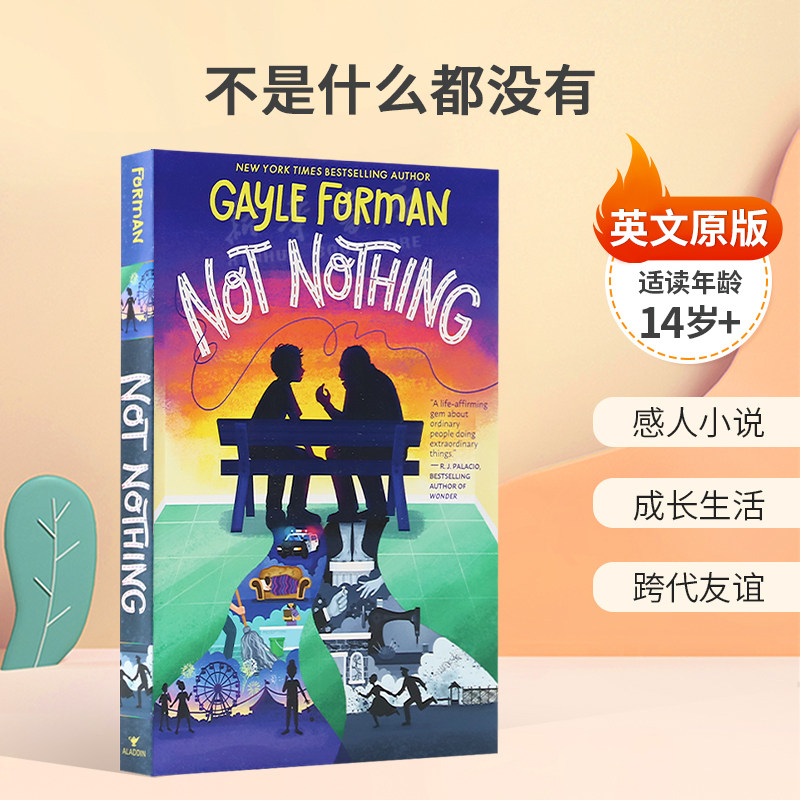 英文原版Not Nothing不是什么都没有希望与坚韧的感人故事感人小说 成长生活 跨代友谊平装小说14岁+
