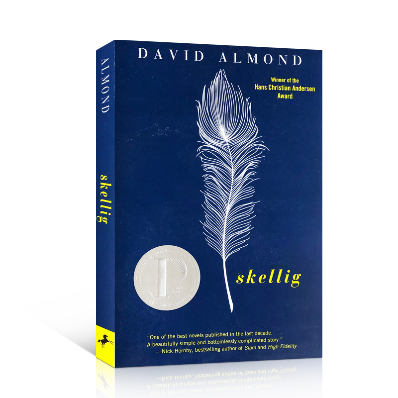 原版进口Skellig当天使坠落人间David Almond著作青少年课外阅读小说电影同名小说8-12岁阅读书籍 获普林兹文学奖卡内基文学奖