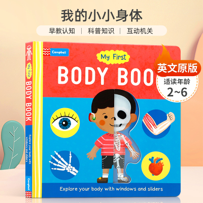 英文原版 My First Body Book我的小小身体 2-6岁儿童科普入门/了解世界 早教认知身体知识 亲子互动共读纸板抽拉机关书