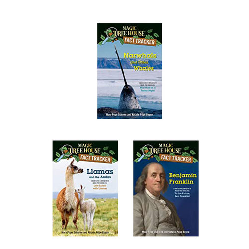 神奇树屋小百科#41-43册 英文原版经典冒险小说Magic Tree House Fact Tracker儿童课外阅读趣味故事桥梁初级章节书7-10岁