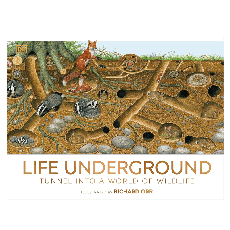 英文原版绘本DK Life Underground 地下生活地下生活  踏上大自然看不见的栖息地之旅儿童绘本4-8岁科普百科读物生物知识精装