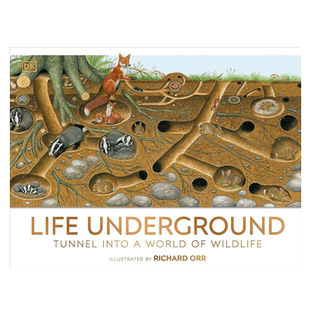 英文原版绘本DK Life Underground 地下生活地下生活  踏上大自然看不见的栖息地之旅儿童绘本4-8岁科普百科读物生物知识精装
