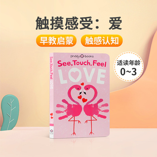 Love触摸感受爱0 英文原版 Feel Touch 3岁宝宝触感认知纸板触摸书亲子互动共读孩子早教启蒙绘本图画书seetouchfeel 绘本See