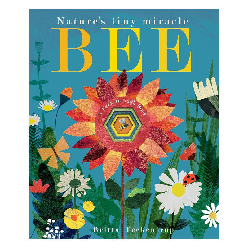预售英文原版Bee: Nature's tiny miracle蜜蜂 大自然的微小奇迹自然世界探索科普洞洞书纸板绘本4-8岁