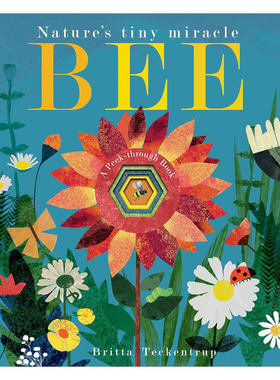 预售英文原版Bee: Nature's tiny miracle蜜蜂 大自然的微小奇迹自然世界探索科普洞洞书纸板绘本4-8岁