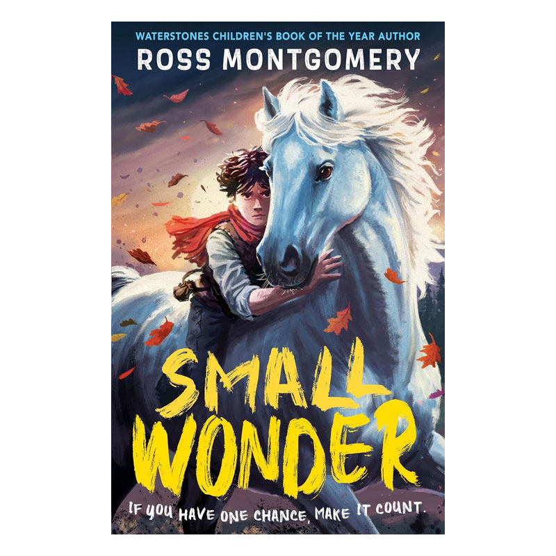 英文原版Small Wonder小奇迹Ross Montgomery水石图书奖作者平装小说冒险故事10-14岁