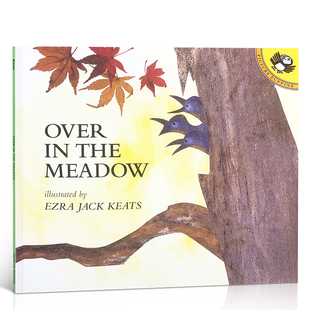 meadow 英文儿歌绘本 绘本 国外插画绘本 那一边 在草原 the over 英文原版 送音频廖彩杏书单