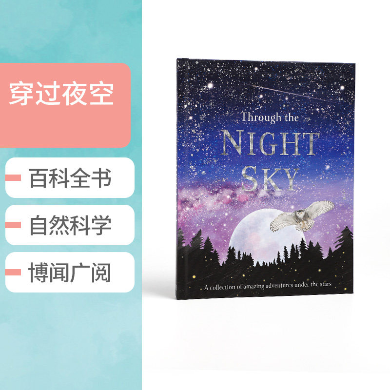 英文原版 Through the Night Sky 穿过夜空 儿童天文宇宙知识百科科普读物 插图 DK出版学生课外阅读书籍精装进口正版 7-12岁