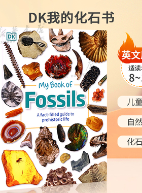 英文原版 My Book of Fossils DK我的化石书 DK史前动植物化石全彩图解指南 儿童百科 自然科普 化石知识 精装 STEAM读物