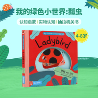 英文原版My Little Green World: Ladybird 我的绿色小世界:瓢虫蜘蛛Honeybee蜜蜂To The Moon月球抽拉机关书In The City城市绘本