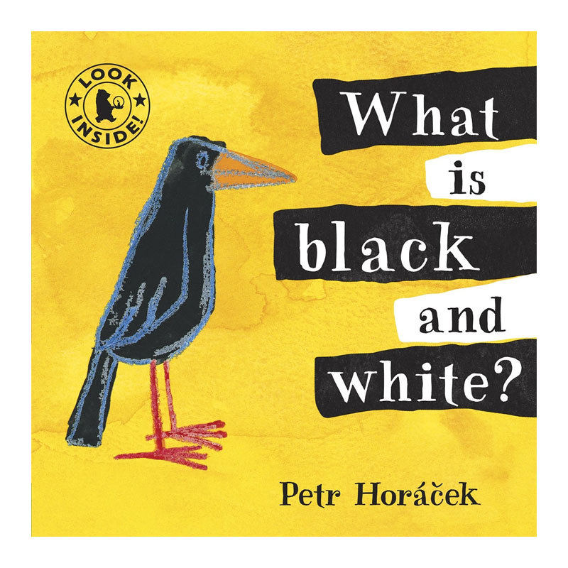 英文原版What Is Black and White?什么是黑白色彩洞洞书颜色概念 异形内页 洞洞设计纸板绘本0-3岁