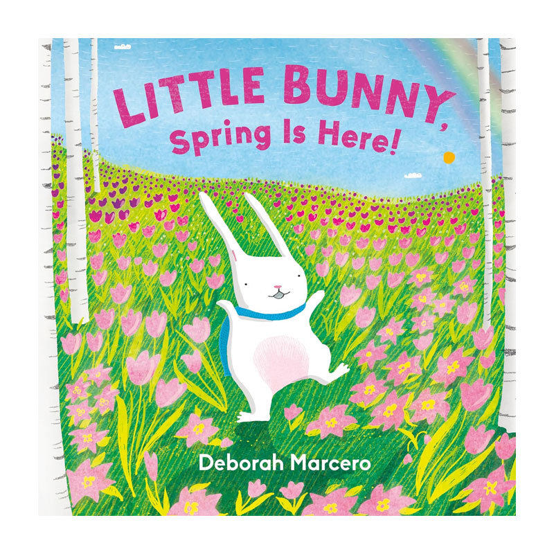 预售英文原版 季节主题 Little Bunny, Spring Is Here! 兔子的春天/秋天来了 儿童季节认知科普启蒙绘本 Deborah Marcero作 2-6岁
