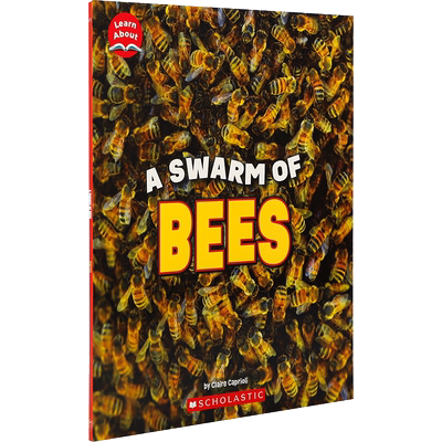 英文原版 Learn About: Animals: A Swarm of Bees了解动物：一群蜜蜂了解有趣的昆虫群居Children's Press出版适用