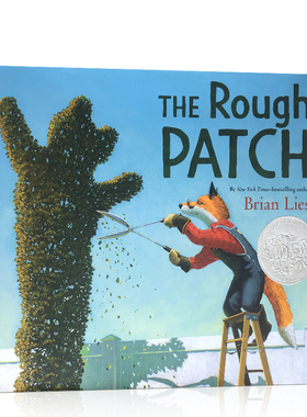 走出荒原英文原版走过艰难时刻The Rough Patch 粗糙的补丁 2019凯迪克银奖精装 Brian Lies插画死亡教育英语绘本国外获奖经典