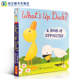 进口读物书 正版 亲子教育互动学习英文原版 Opposites撕不烂纸板书儿童英语启蒙学习 Book Duck 小黄鸭与小白鹅系列What