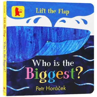 英文原版绘本Who Is the Biggest谁是很大的? 捷克绘本大师Petr Horacek 2-5岁幼儿英语启蒙认知 亲子共读宝宝早教纸板翻翻书