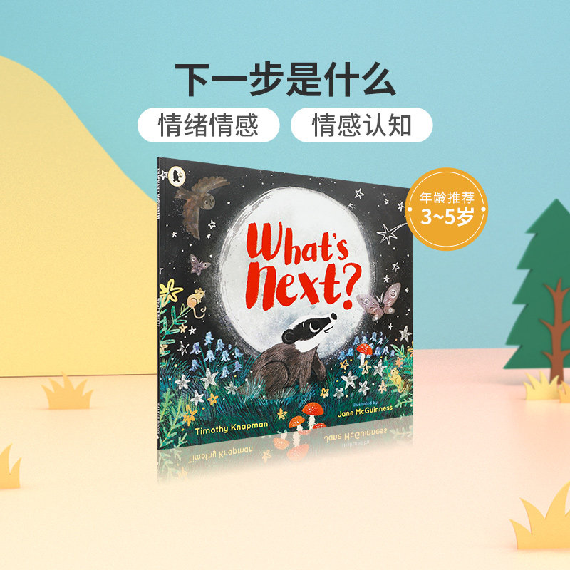 进口英文原版 whats next 下一步是什么 3-5岁低幼儿童英语学前教育
