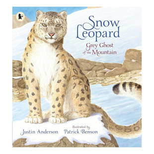 预售英文原版 Snow Leopard 雪豹 引人入胜充满冒险精神且感人的故事自然绘本 动物故事 精美插图 平装 科普入门/了解世界4-8岁