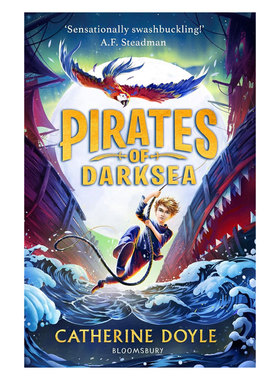 英文原版 Pirates of Darksea 暗海海盗 风暴守护者三部曲作者 冒险故事平装 小说10-14岁