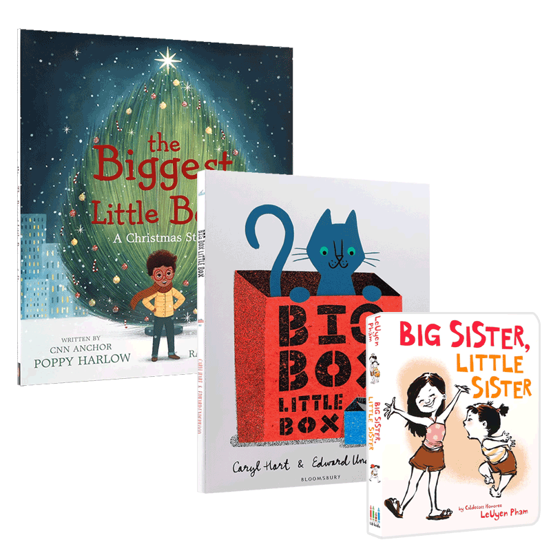 英文原版绘本Big Box Little Box/Big Sister, Little Sister/The Biggest Little Boy: A Christmas Story大小相反物概念认知3本