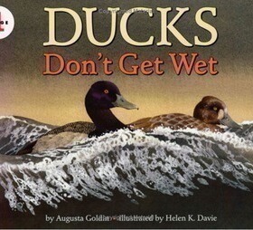 【送音频】英文原版Let's read andfind out stage1:Ducks Don't Get Wet