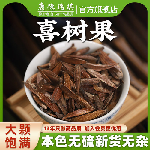 喜树果中药材500克千丈树水栗子天梓树新鲜干货喜树子药用喜树果 - 封面